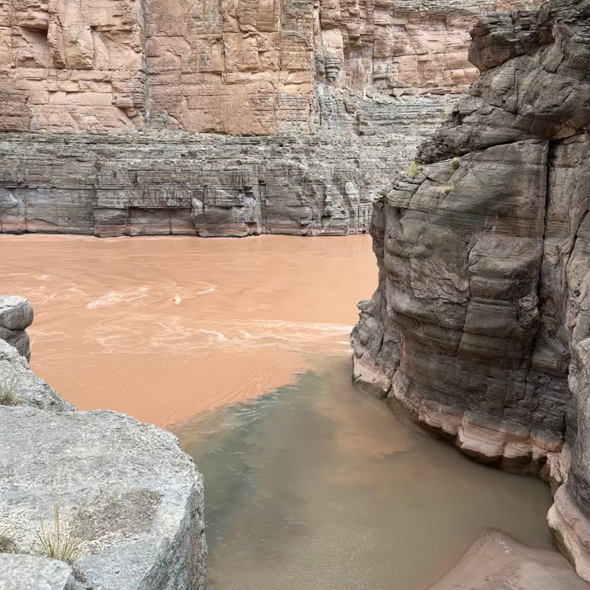 Photo of the Week&nbsp;6.10.24